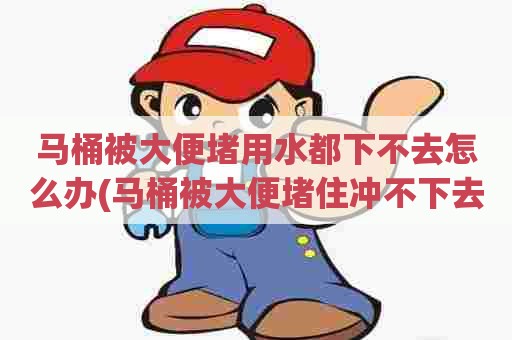 马桶被大便堵用水都下不去怎么办(马桶被大便堵住冲不下去怎么办)