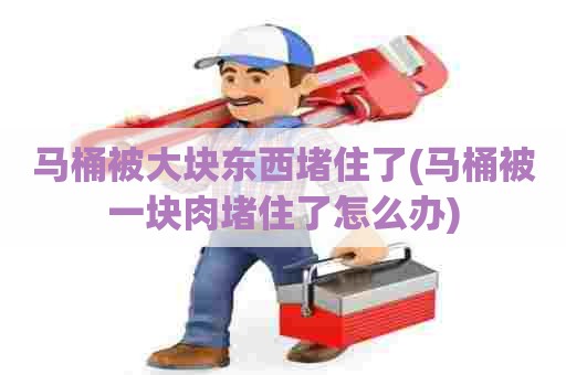 马桶被大块东西堵住了(马桶被一块肉堵住了怎么办)