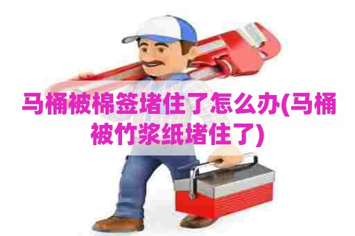 马桶被棉签堵住了怎么办(马桶被竹浆纸堵住了) 马桶被棉签堵住了怎么办(马桶被竹浆纸堵住了)