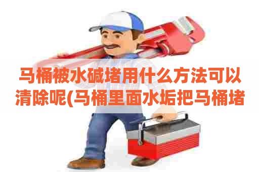 马桶被水碱堵用什么方法可以清除呢(马桶里面水垢把马桶堵了怎么办) 马桶被水碱堵用什么方法可以清除呢(马桶里面水垢把马桶堵了怎么办)