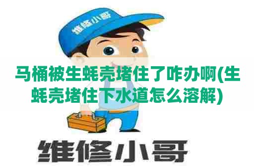 马桶被生蚝壳堵住了咋办啊(生蚝壳堵住下水道怎么溶解) 马桶被生蚝壳堵住了咋办啊(生蚝壳堵住下水道怎么溶解)