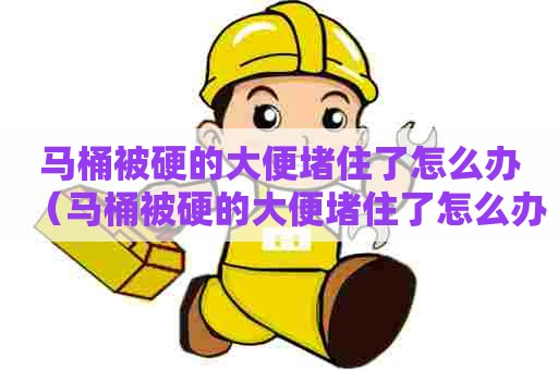 马桶被硬的大便堵住了怎么办（马桶被硬的大便堵住了怎么办啊）