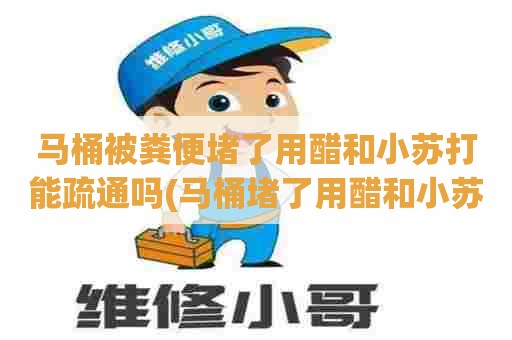 马桶被粪便堵了用醋和小苏打能疏通吗(马桶堵了用醋和小苏打有用吗)