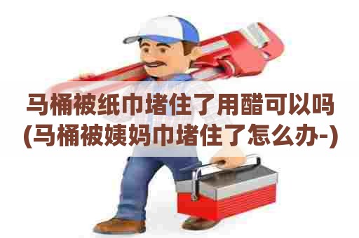 马桶被纸巾堵住了用醋可以吗(马桶被姨妈巾堵住了怎么办-)