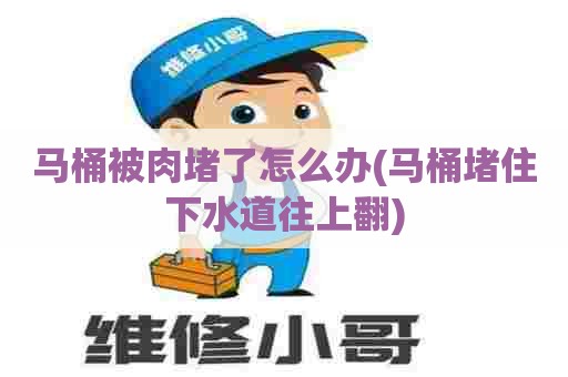 马桶被肉堵了怎么办(马桶堵住下水道往上翻) 马桶被肉堵了怎么办(马桶堵住下水道往上翻)
