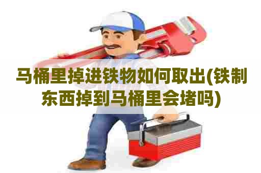 马桶里掉进铁物如何取出(铁制东西掉到马桶里会堵吗) 马桶里掉进铁物如何取出(铁制东西掉到马桶里会堵吗)