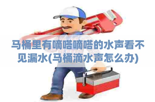 马桶里有嘀嗒嘀嗒的水声看不见漏水(马桶滴水声怎么办)