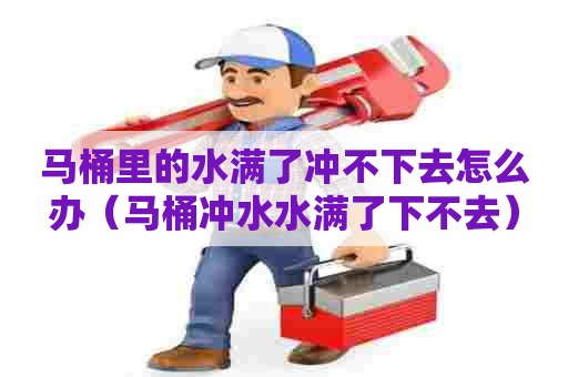 马桶里的水满了冲不下去怎么办(马桶冲水水满了下不去) 马桶里的水满了冲不下去怎么办(马桶冲水水满了下不去)