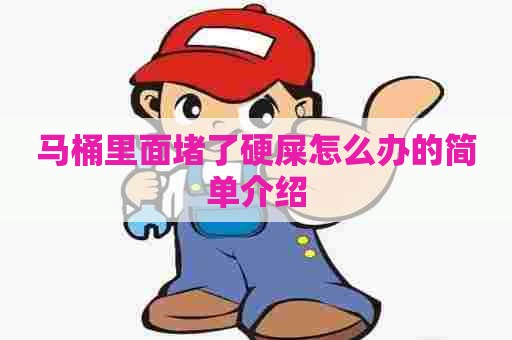 马桶里面堵了硬屎怎么办的简单介绍