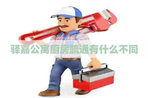 驿嘉公寓厨房疏通有什么不同