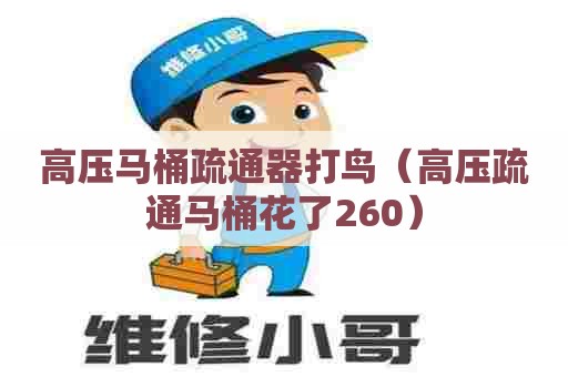 高压马桶疏通器打鸟（高压疏通马桶花了260）