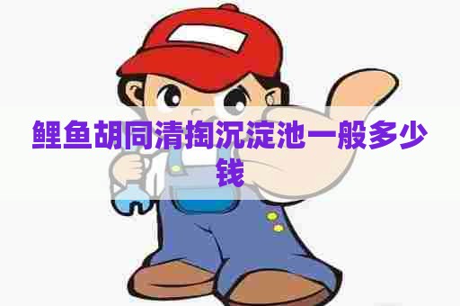 鲤鱼胡同清掏沉淀池一般多少钱