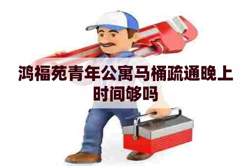 鸿福苑青年公寓马桶疏通晚上时间够吗