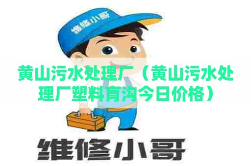 黄山污水处理厂（黄山污水处理厂塑料肓沟今日价格）