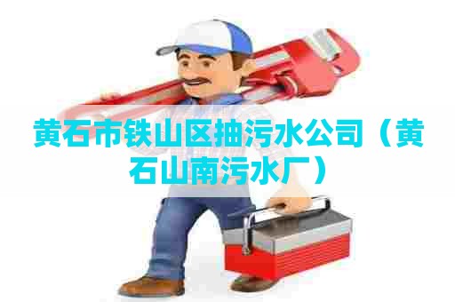 黄石市铁山区抽污水公司（黄石山南污水厂）