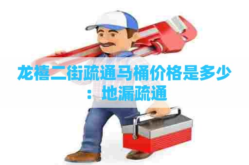 龙禧二街疏通马桶价格是多少：地漏疏通