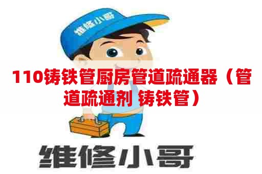 110铸铁管厨房管道疏通器(管道疏通剂 铸铁管) 110铸铁管厨房管道疏通器(管道疏通剂 铸铁管)