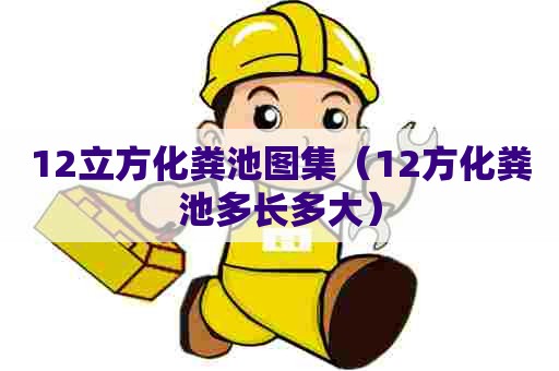 12立方化粪池图集（12方化粪池多长多大）