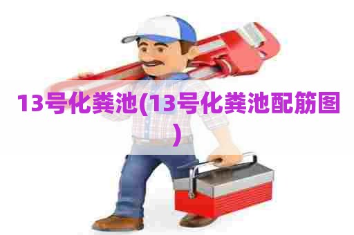 13号化粪池(13号化粪池配筋图)