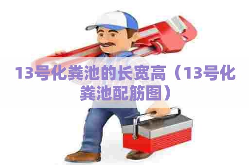 13号化粪池的长宽高（13号化粪池配筋图）