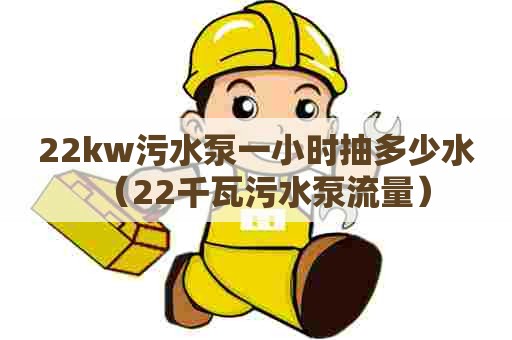 22kw污水泵一小时抽多少水（22千瓦污水泵流量）
