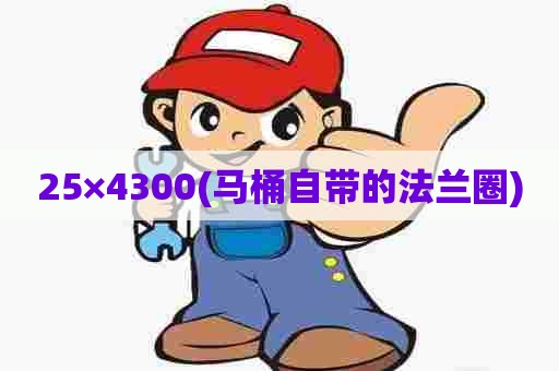 25×4300(马桶自带的法兰圈) 25×4300(马桶自带的法兰圈)
