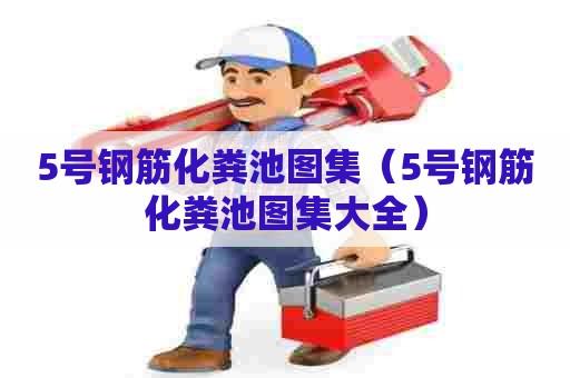 5号钢筋化粪池图集（5号钢筋化粪池图集大全）