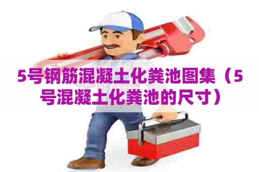 5号钢筋混凝土化粪池图集（5号混凝土化粪池的尺寸）