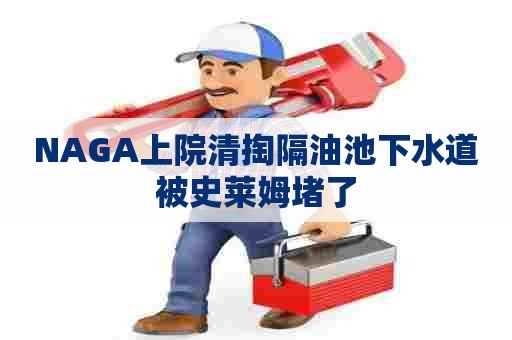 NAGA上院清掏隔油池下水道被史莱姆堵了 NAGA上院清掏隔油池下水道被史莱姆堵了