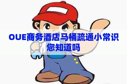 OUE商务酒店马桶疏通小常识您知道吗