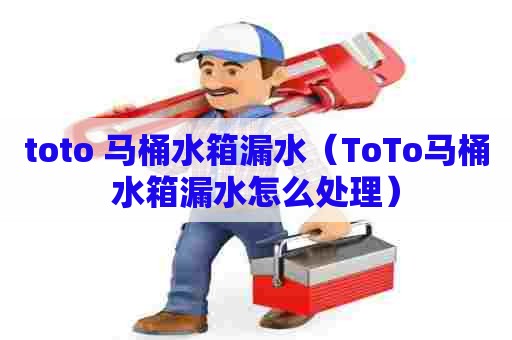 toto 马桶水箱漏水(ToTo马桶水箱漏水怎么处理) toto 马桶水箱漏水(ToTo马桶水箱漏水怎么处理)