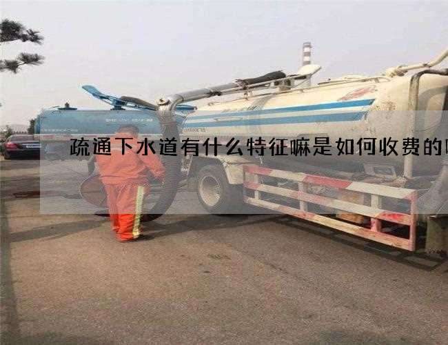 疏通下水道有什么特征嘛是如何收费的呢