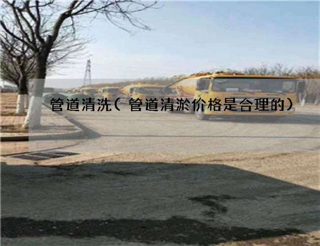 管道清洗(管道清淤价格是合理的)