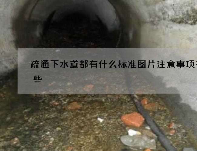 疏通下水道都有什么标准图片注意事项有哪些 疏通下水道都有什么标准图片注意事项有哪些