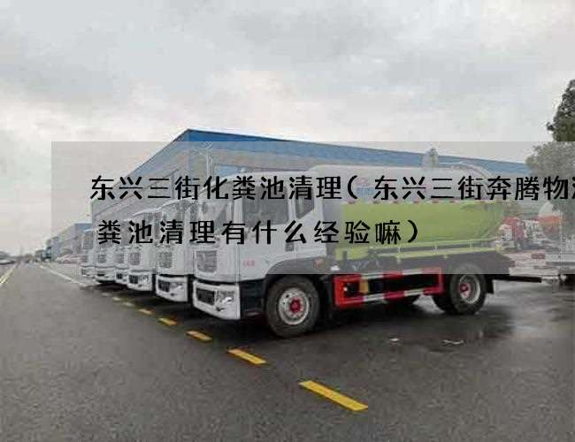 东兴三街化粪池清理(东兴三街奔腾物流化粪池清理有什么经验嘛)