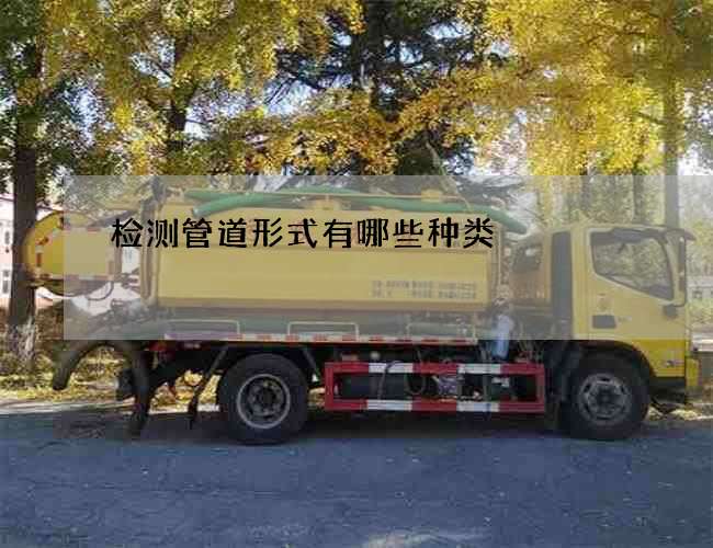 检测管道形式有哪些种类
