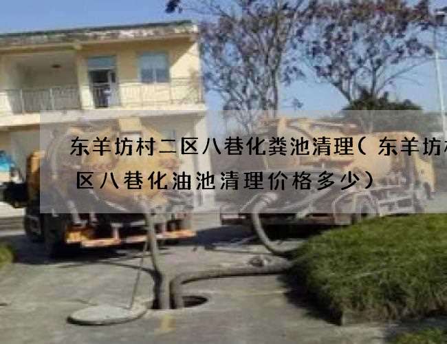 东羊坊村二区八巷化粪池清理(东羊坊村二区八巷化油池清理价格多少)