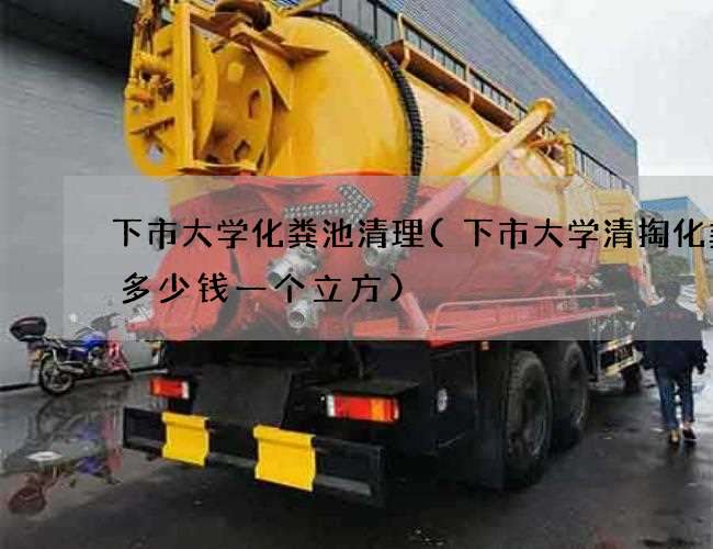 下市大学化粪池清理(下市大学清掏化粪池多少钱一个立方)