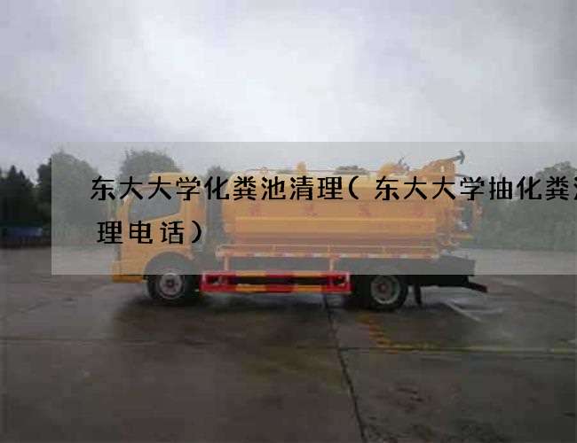 东大大学化粪池清理(东大大学抽化粪池清理电话)
