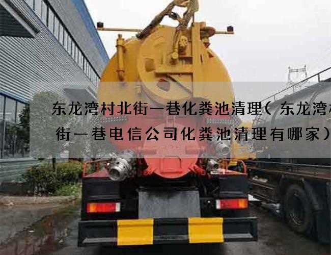 东龙湾村北街一巷化粪池清理(东龙湾村北街一巷电信公司化粪池清理有哪家)