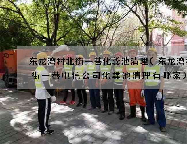东龙湾村北街一巷化粪池清理(东龙湾村北街一巷电信公司化粪池清理有哪家)