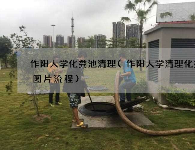 作阳大学化粪池清理(作阳大学清理化粪池图片流程)