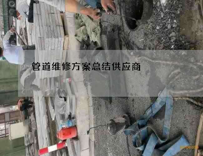 管道维修方案总结供应商