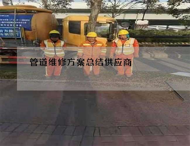 管道维修方案总结供应商