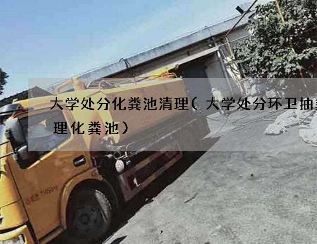 大学处分化粪池清理(大学处分环卫抽粪清理化粪池)