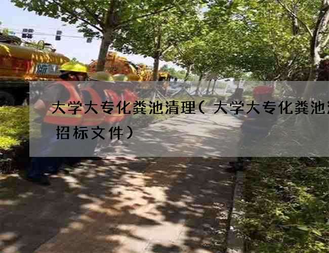 大学大专化粪池清理(大学大专化粪池清掏招标文件)
