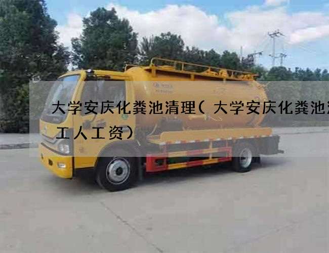 大学安庆化粪池清理(大学安庆化粪池清理工人工资)