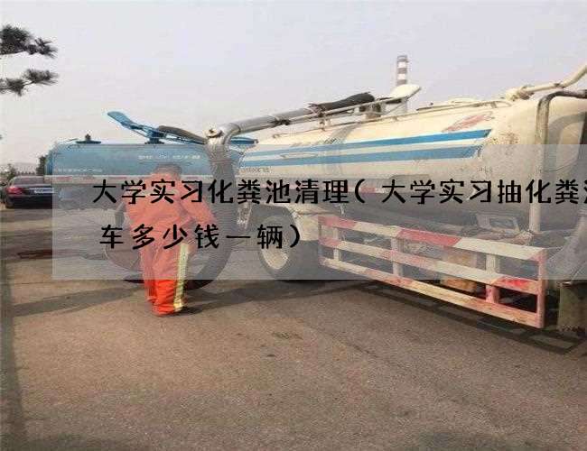 大学实习化粪池清理(大学实习抽化粪池的车多少钱一辆)