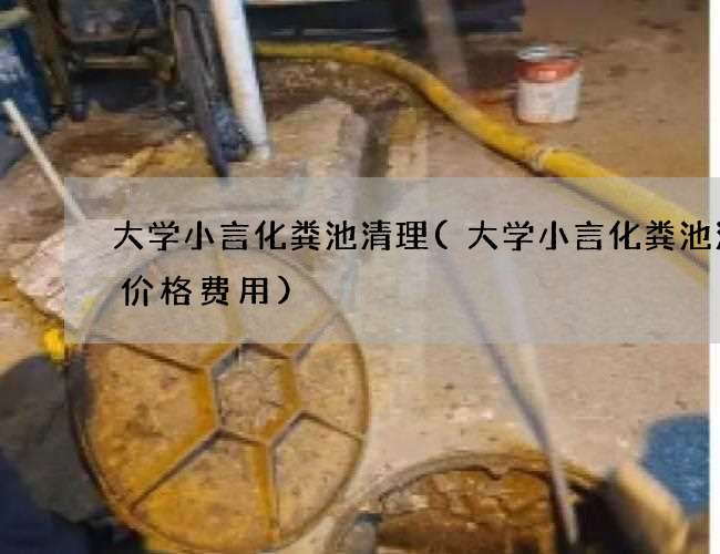 大学小言化粪池清理(大学小言化粪池清理价格费用)
