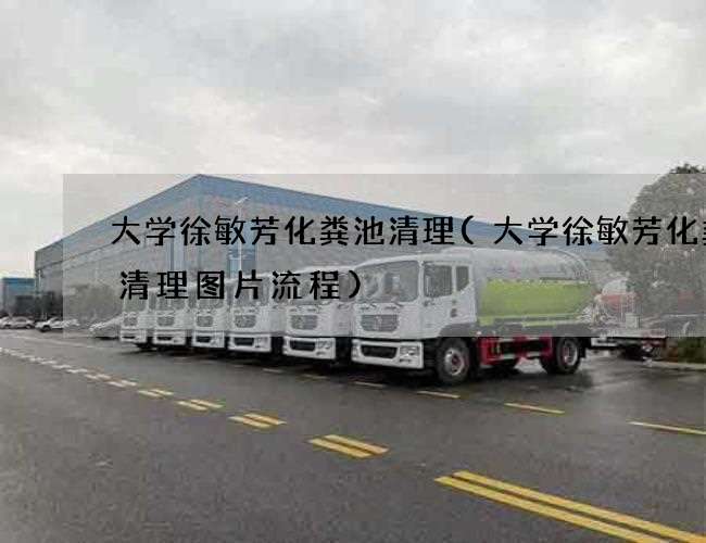 大学徐敏芳化粪池清理(大学徐敏芳化粪池清理图片流程)